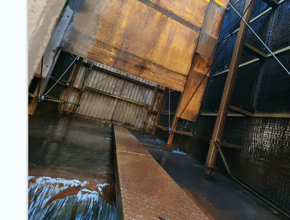 <strong>破解填料結垢難題：科</strong>